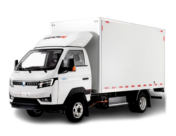 LANDKING Light Electric Truck - LPE3
